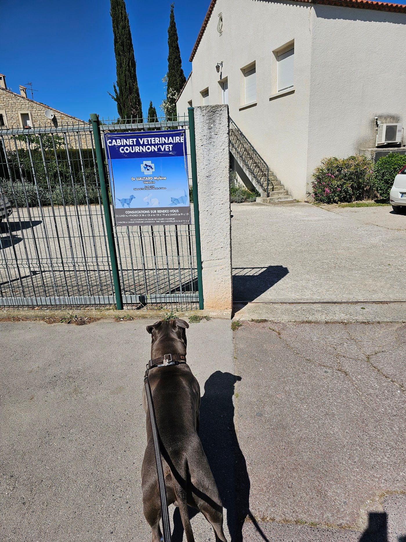 Vétérinaire Roucaute